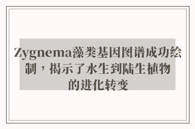 Zygnema藻类基因图谱成功绘制，揭示了水生到陆生植物的进化转变