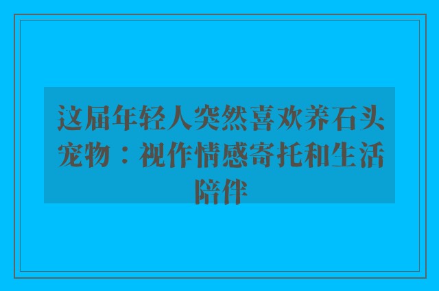 这届年轻人突然喜欢养石头宠物：视作情感寄托和生活陪伴