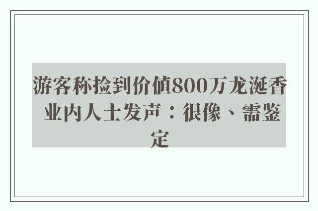 游客称捡到价值800万龙涎香 业内人士发声：很像、需鉴定