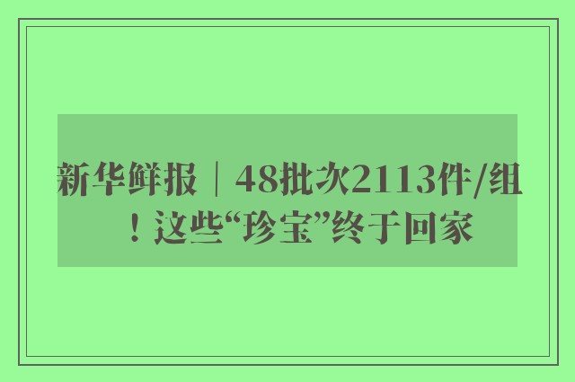 新华鲜报｜48批次2113件/组！这些“珍宝”终于回家